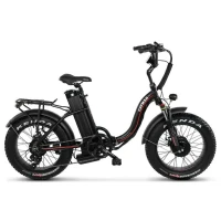 Электрофэтбайк Cayman TRIAL DUAL черный