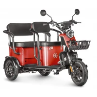 Электротрицикл Wanshida UM+ 60V 1000Вт Красный 